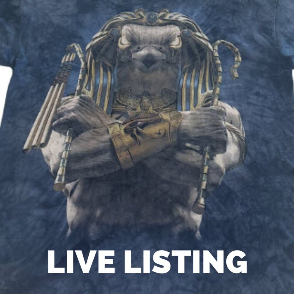 🎸🎸LIVE BAND TEE Listing🎸🎸 5 PT Today!